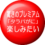 プレミアムな驚きを「たらばガニ」で楽しみたい！