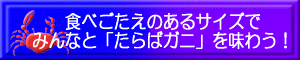 食べごたえのあるサイズで「たらばガニ」味わう！