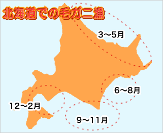 北海道の毛ガニ漁